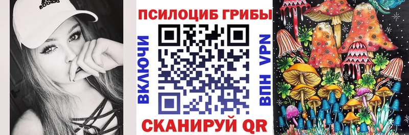 где продают   Гагарин  Галлюциногенные грибы Magic Shrooms 